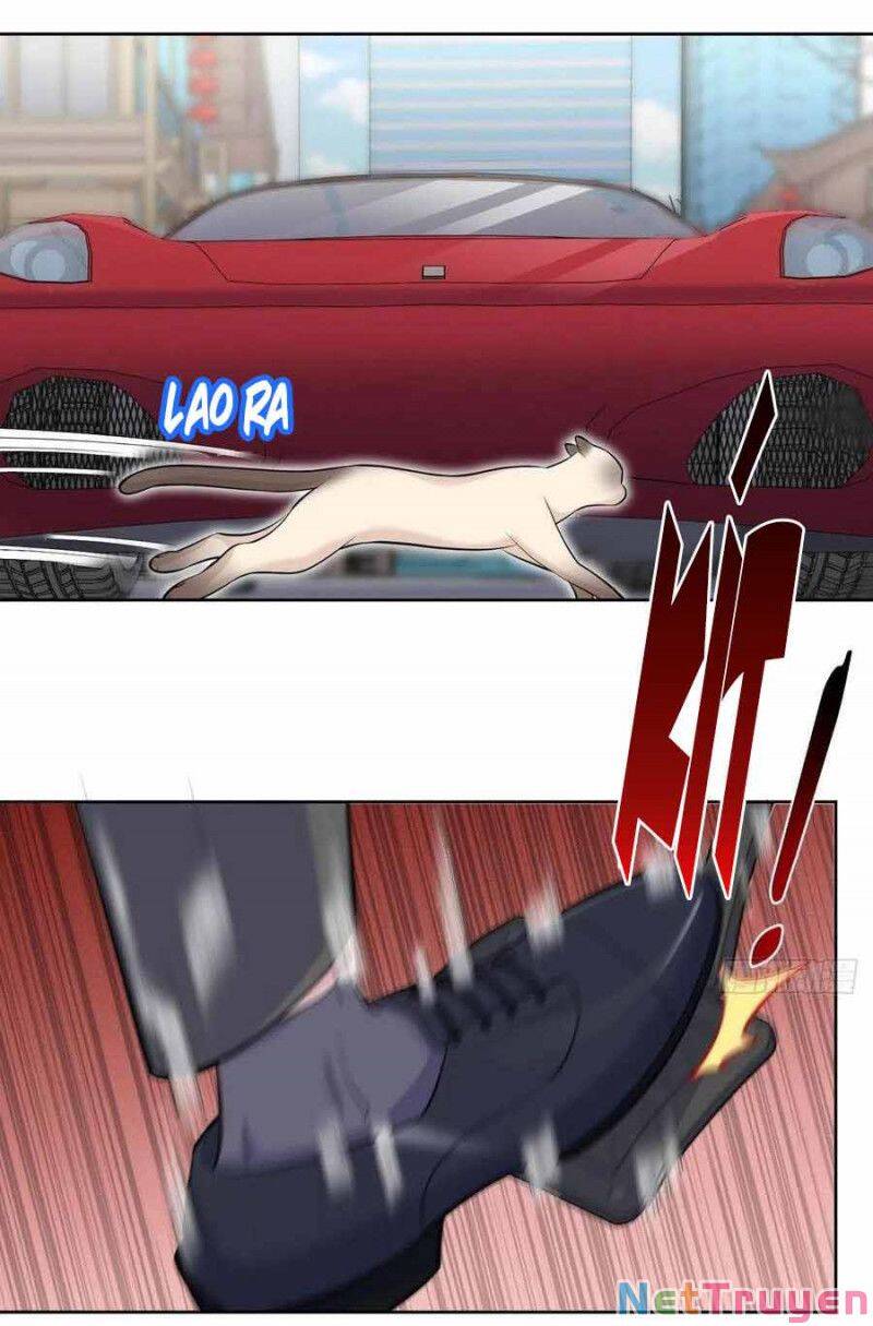 Cha Vợ Đại Nhân Là Bà Xã Chapter 103 - Trang 2