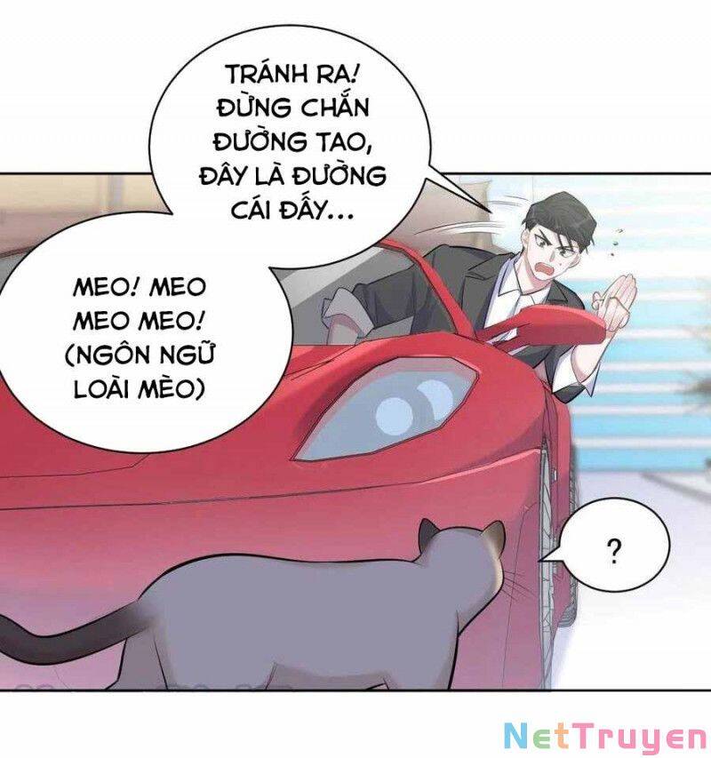 Cha Vợ Đại Nhân Là Bà Xã Chapter 103 - Trang 2