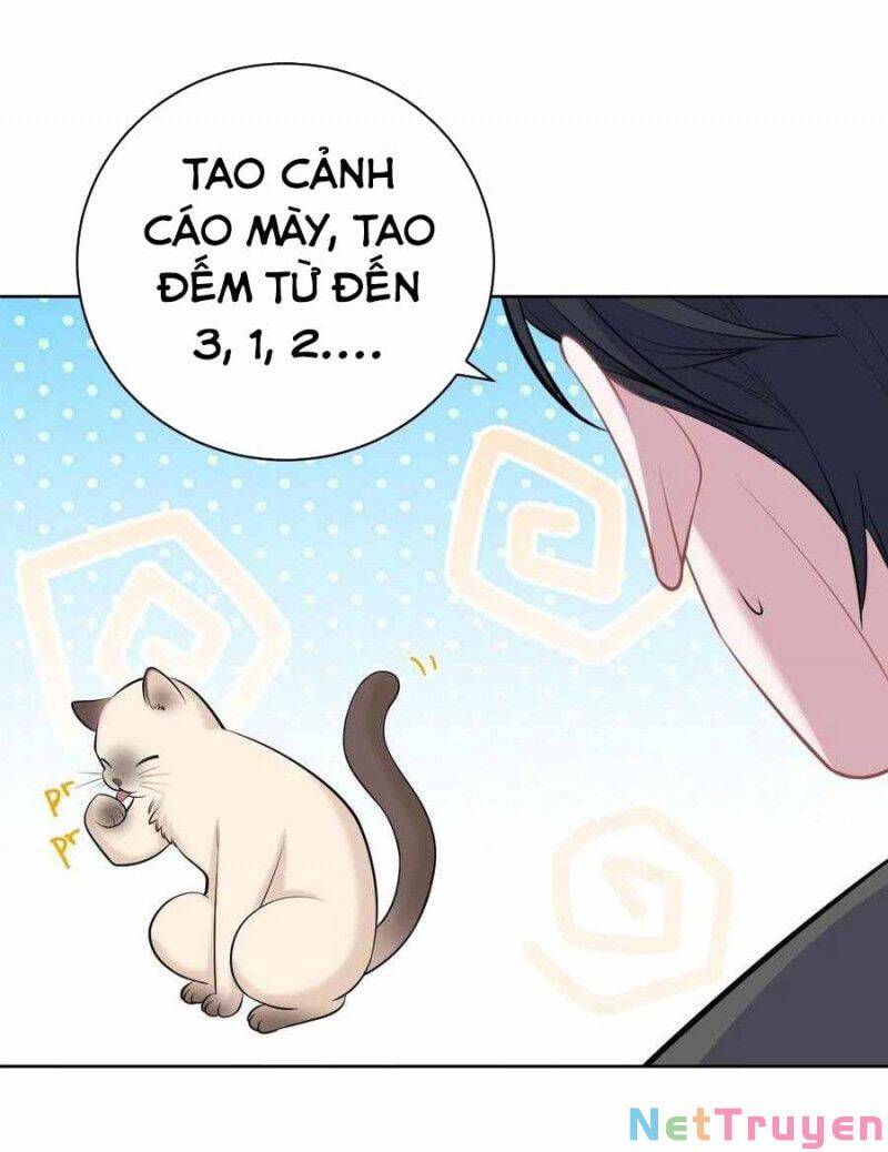 Cha Vợ Đại Nhân Là Bà Xã Chapter 103 - Trang 2