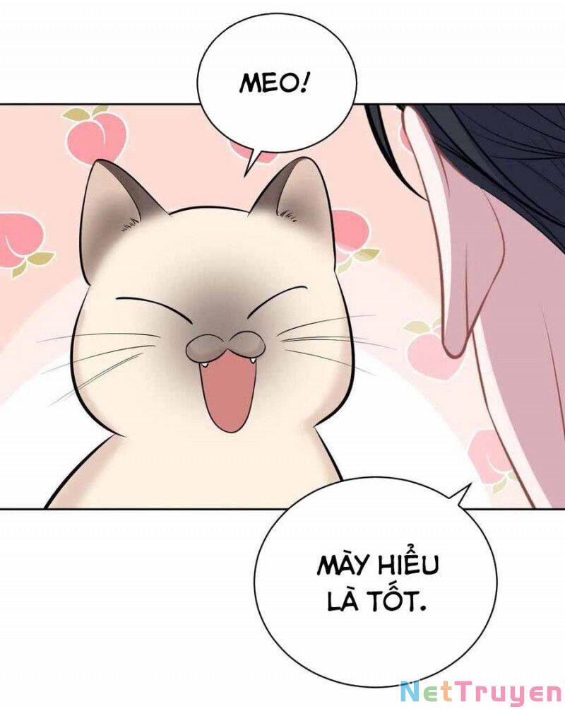 Cha Vợ Đại Nhân Là Bà Xã Chapter 103 - Trang 2