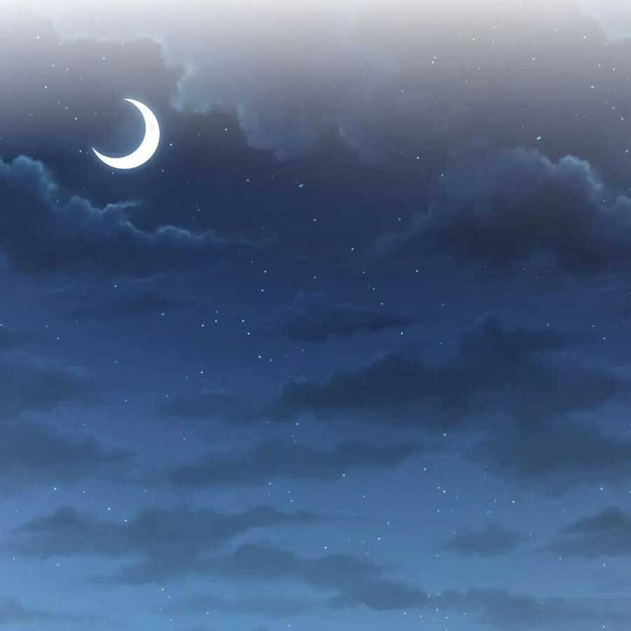 Cha Vợ Đại Nhân Là Bà Xã Chapter 151 - Trang 2