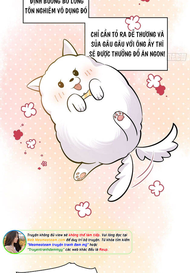 Cha Vợ Đại Nhân Là Bà Xã Chapter 156 - Trang 2