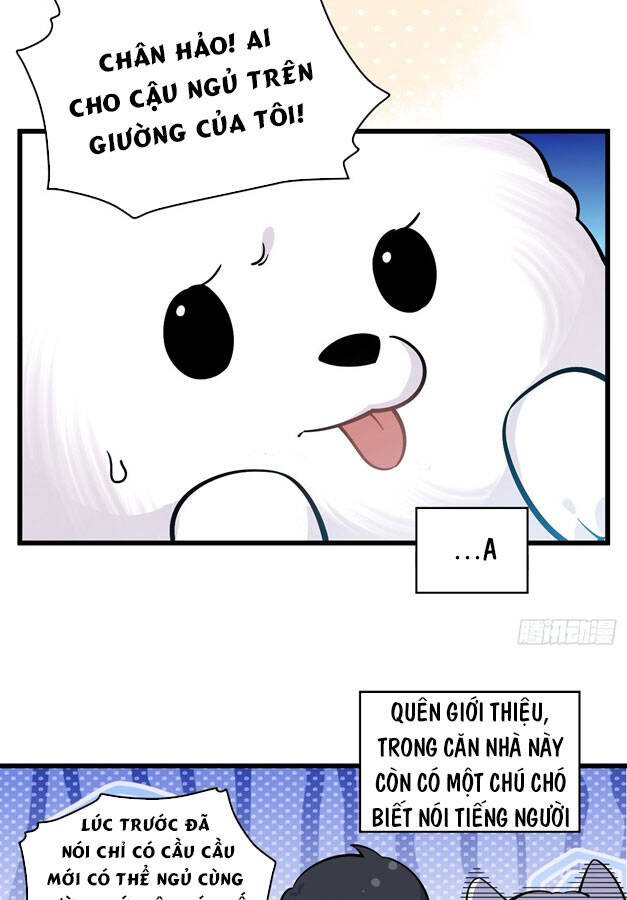 Cha Vợ Đại Nhân Là Bà Xã Chapter 156 - Trang 2