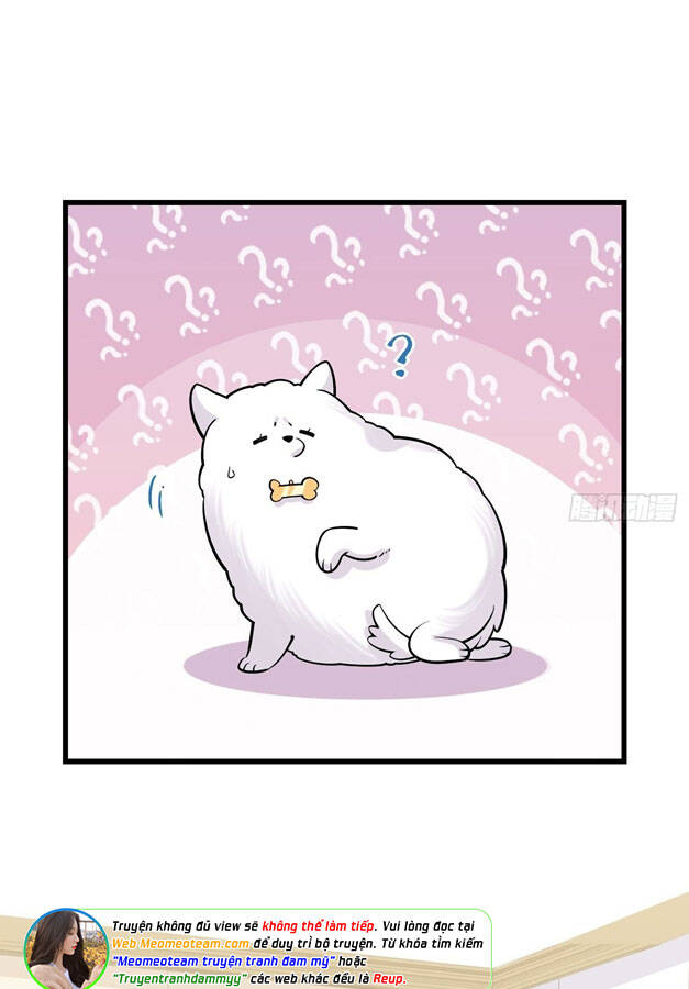 Cha Vợ Đại Nhân Là Bà Xã Chapter 156 - Trang 2