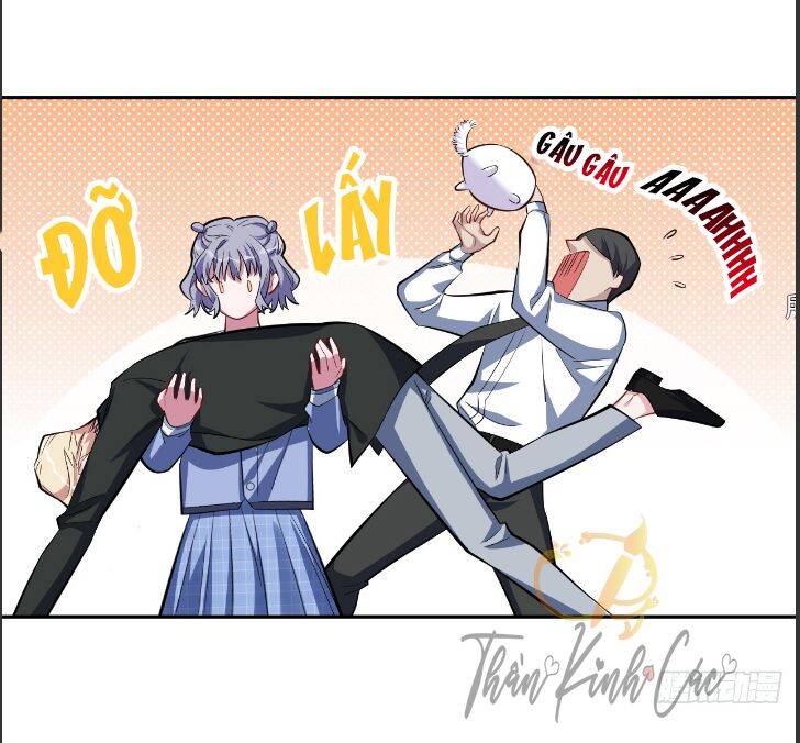 Cha Vợ Đại Nhân Là Bà Xã Chapter 23 - Trang 2