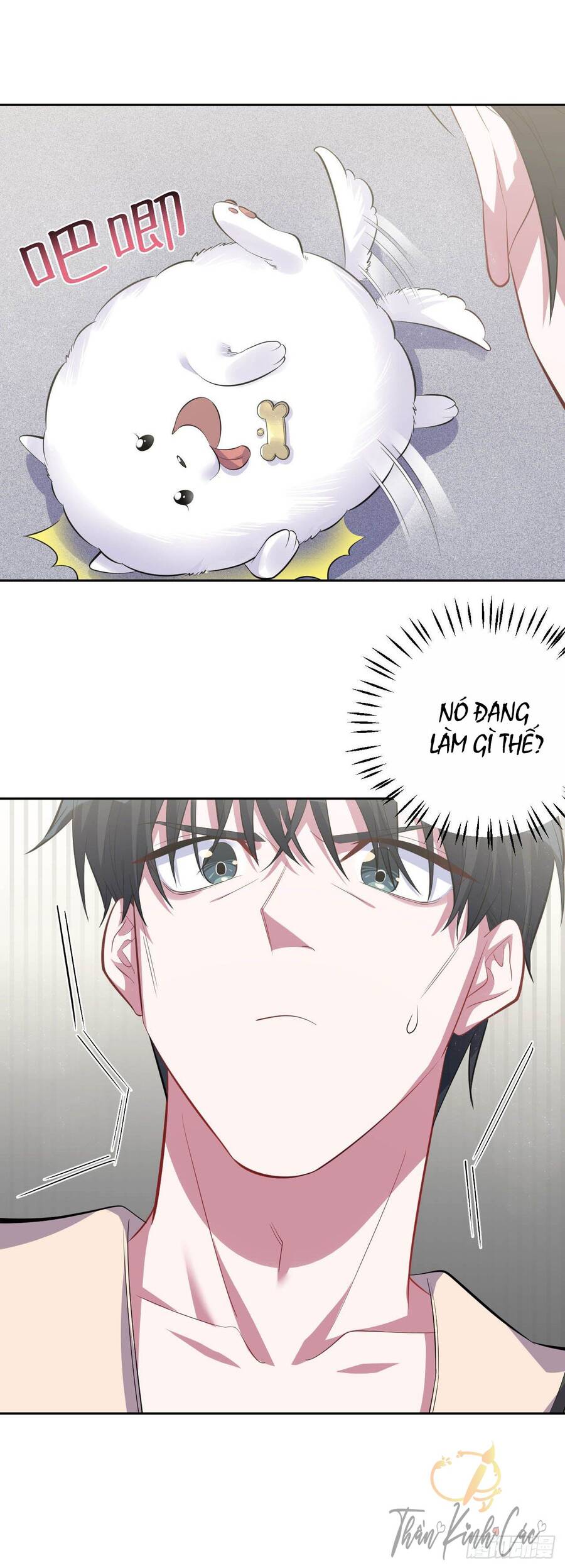 Cha Vợ Đại Nhân Là Bà Xã Chapter 27 - Trang 2