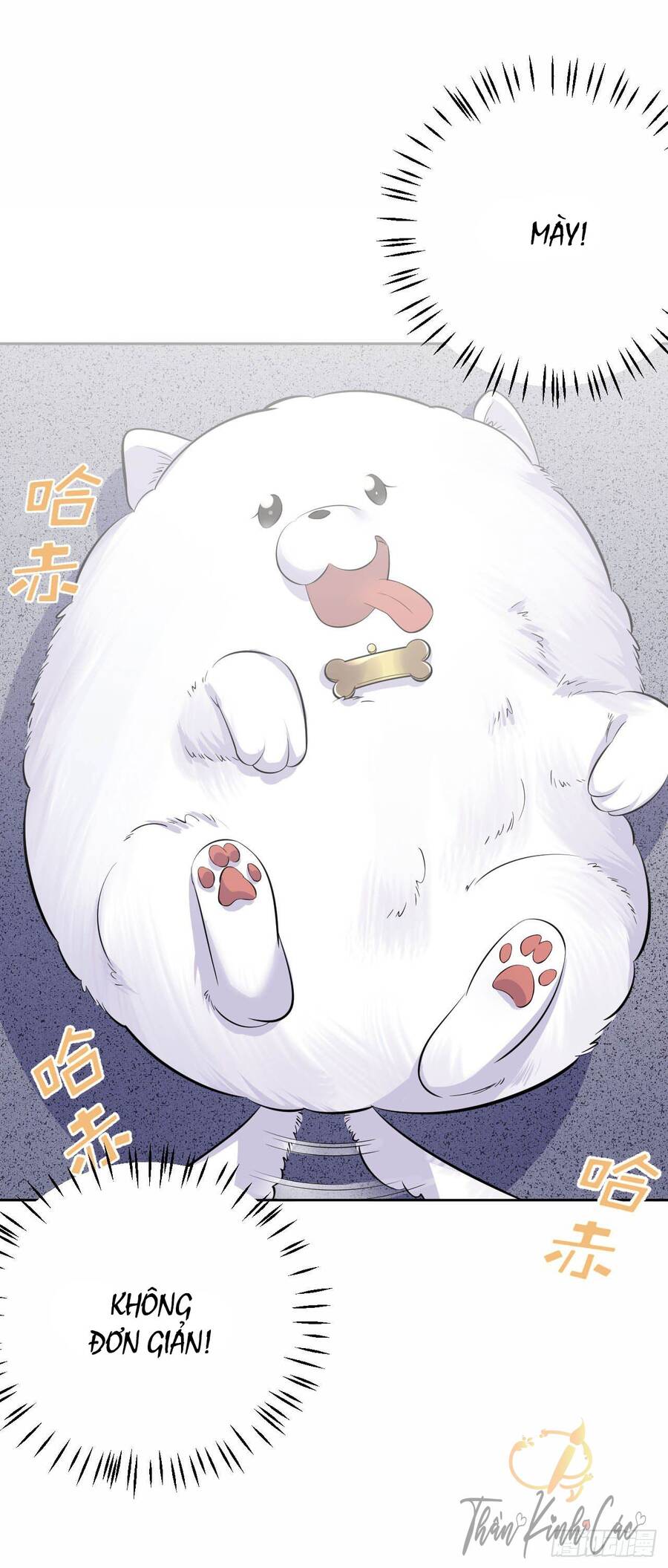 Cha Vợ Đại Nhân Là Bà Xã Chapter 27 - Trang 2