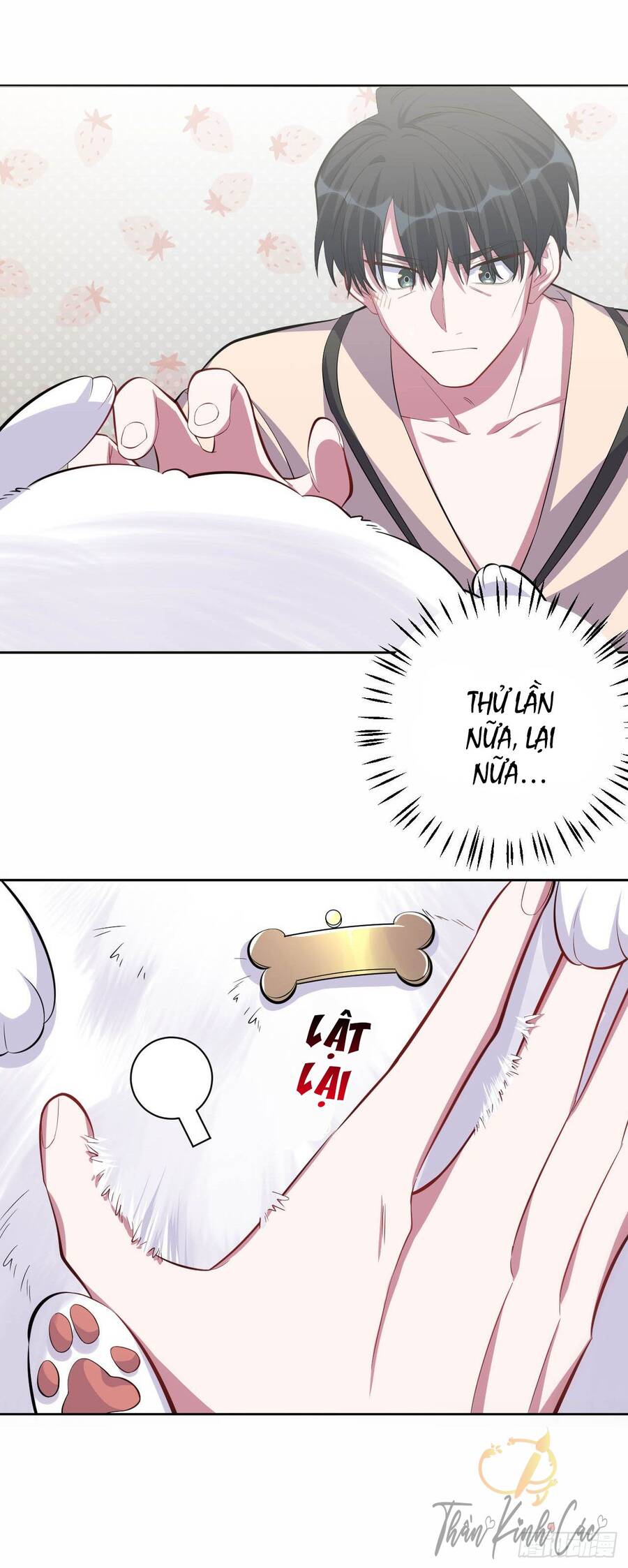 Cha Vợ Đại Nhân Là Bà Xã Chapter 27 - Trang 2