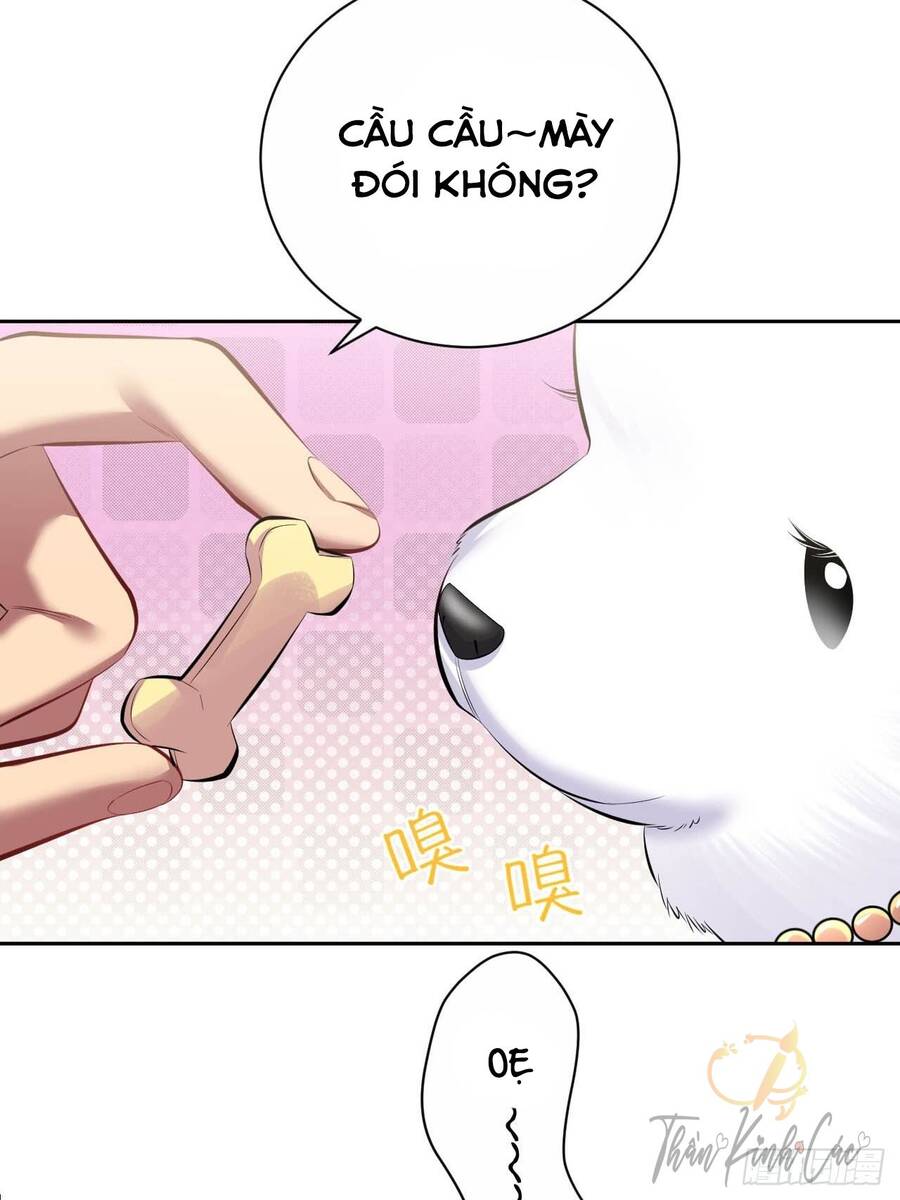 Cha Vợ Đại Nhân Là Bà Xã Chapter 28 - Trang 2