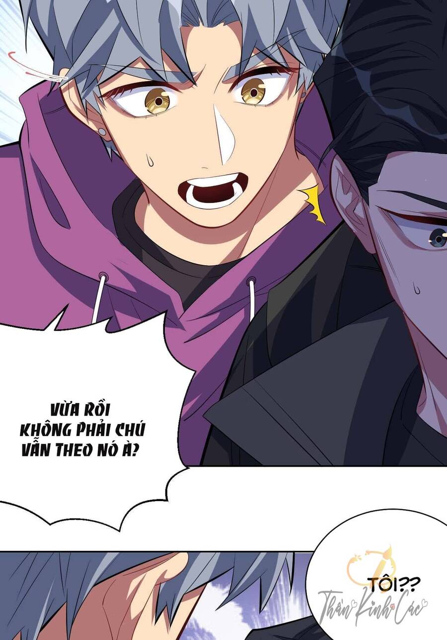 Cha Vợ Đại Nhân Là Bà Xã Chapter 31 - Trang 2