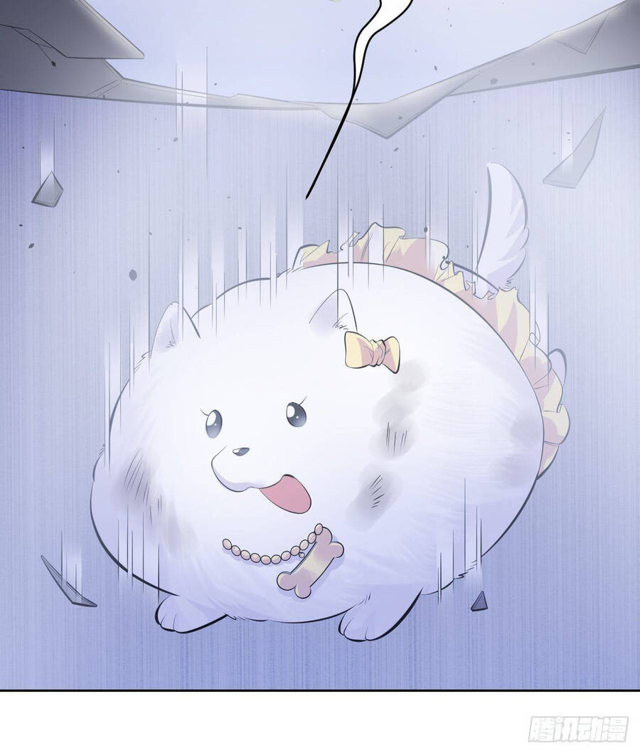 Cha Vợ Đại Nhân Là Bà Xã Chapter 34 - Trang 2