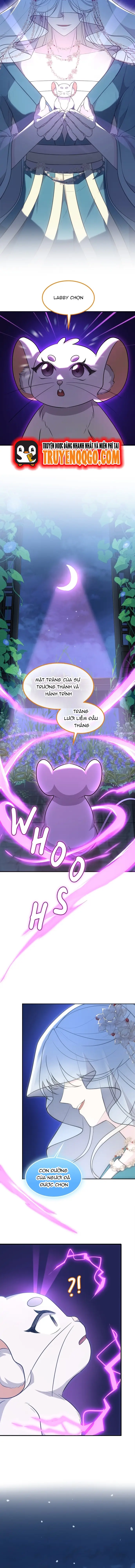 Chân Lý Tu Tiên Chapter 24 - Trang 2