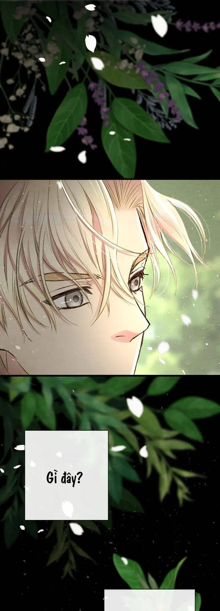 Chàng Hoàng Tử Này Có Vấn Đề Chapter 24.1 - Trang 2