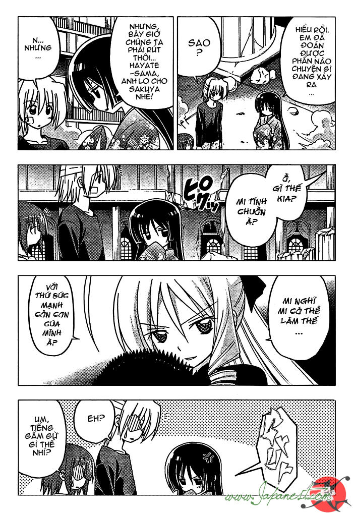 Chàng Quản Gia Chapter 247 - Trang 2