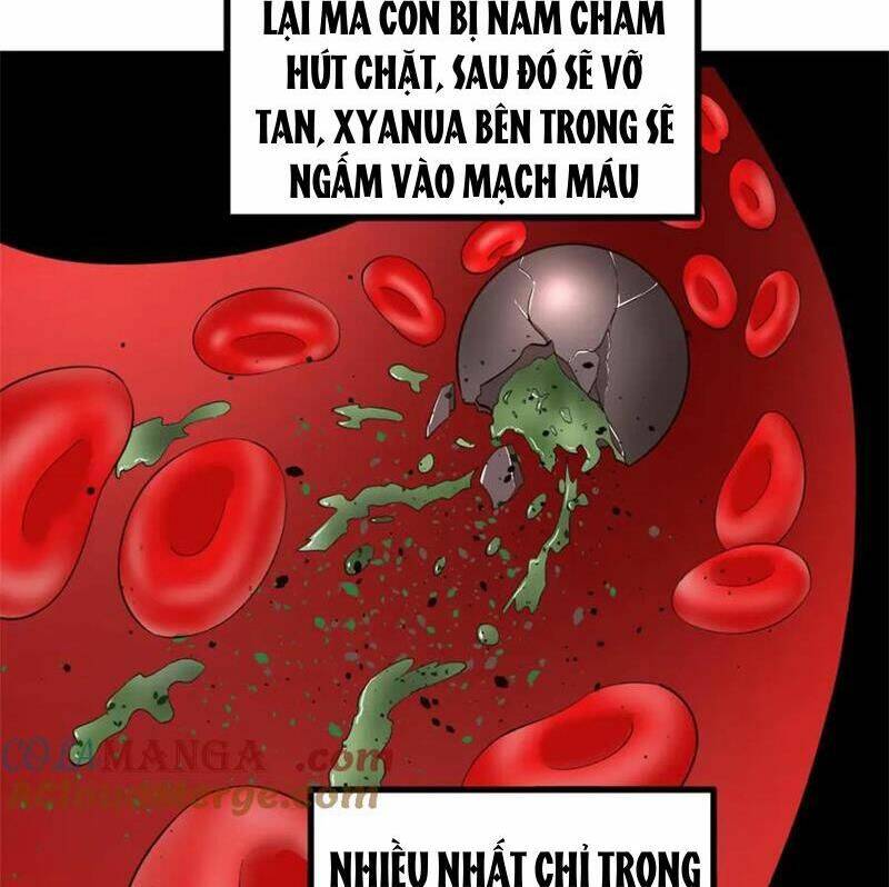 Chàng Rể Mạnh Nhất Lịch Sử Chapter 164 - Trang 2