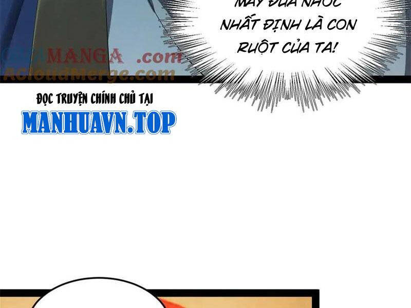 Chàng Rể Mạnh Nhất Lịch Sử Chapter 194 - Trang 2