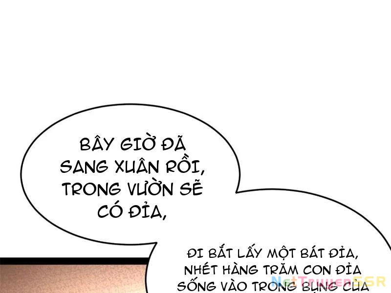 Chàng Rể Mạnh Nhất Lịch Sử Chapter 203 - Trang 2