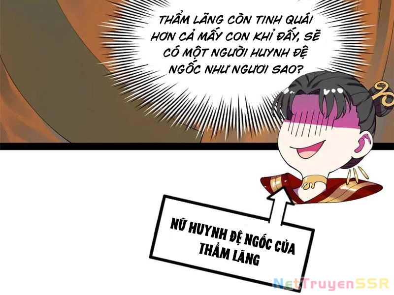 Chàng Rể Mạnh Nhất Lịch Sử Chapter 203 - Trang 2