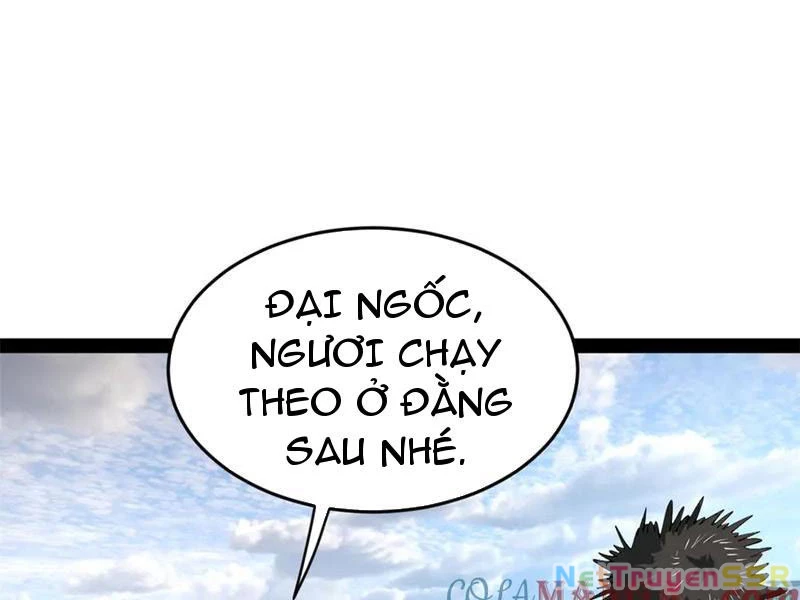 Chàng Rể Mạnh Nhất Lịch Sử Chapter 203 - Trang 2
