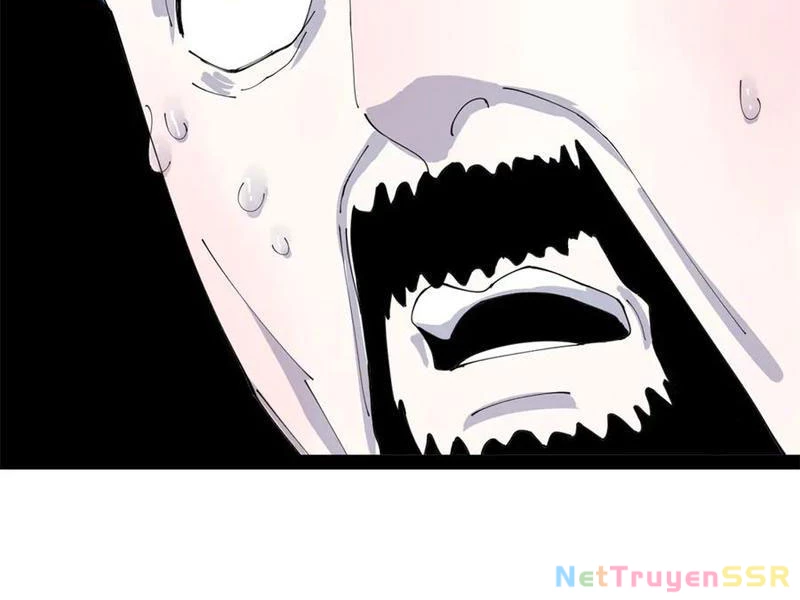 Chàng Rể Mạnh Nhất Lịch Sử Chapter 204 - Trang 2