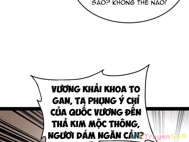 Chàng Rể Mạnh Nhất Lịch Sử Chapter 204 - Trang 2