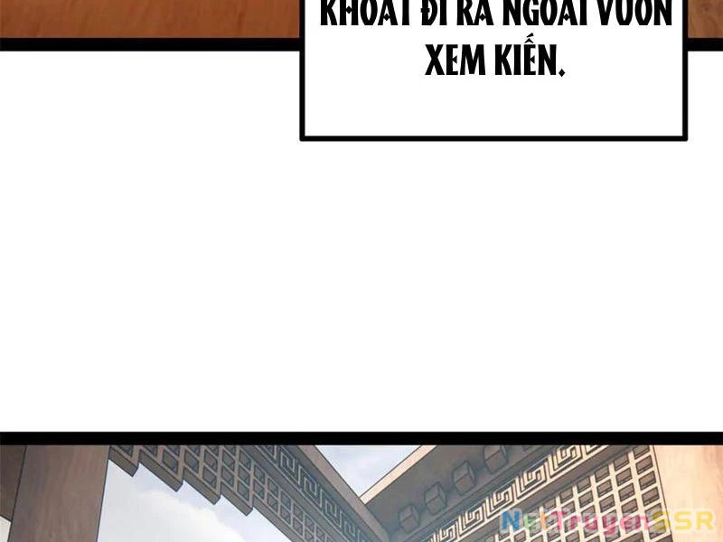 Chàng Rể Mạnh Nhất Lịch Sử Chapter 205 - Trang 2