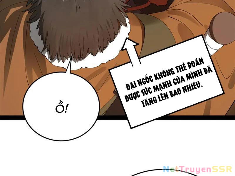 Chàng Rể Mạnh Nhất Lịch Sử Chapter 205 - Trang 2