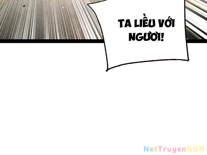 Chàng Rể Mạnh Nhất Lịch Sử Chapter 206 - Trang 2