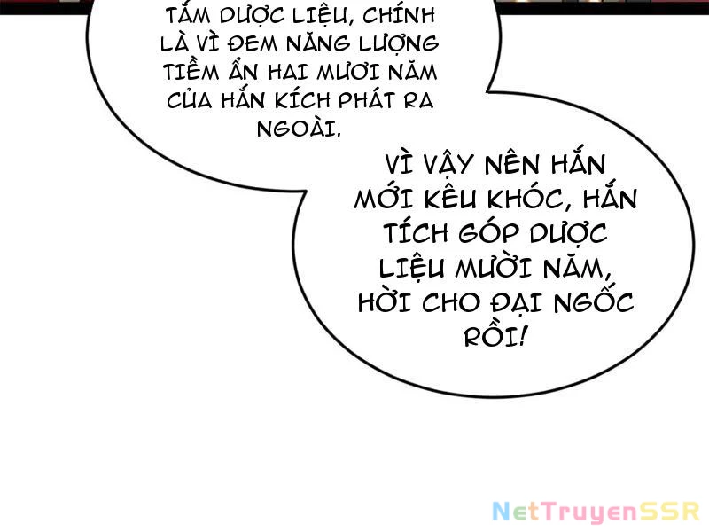 Chàng Rể Mạnh Nhất Lịch Sử Chapter 206 - Trang 2