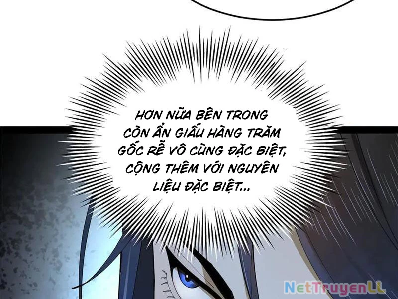 Chàng Rể Mạnh Nhất Lịch Sử Chapter 210 - Trang 2