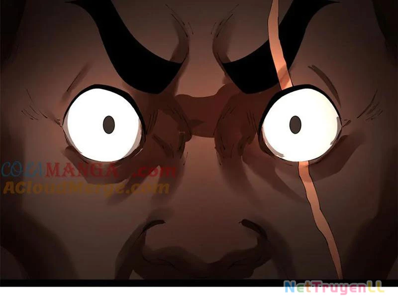 Chàng Rể Mạnh Nhất Lịch Sử Chapter 210 - Trang 2