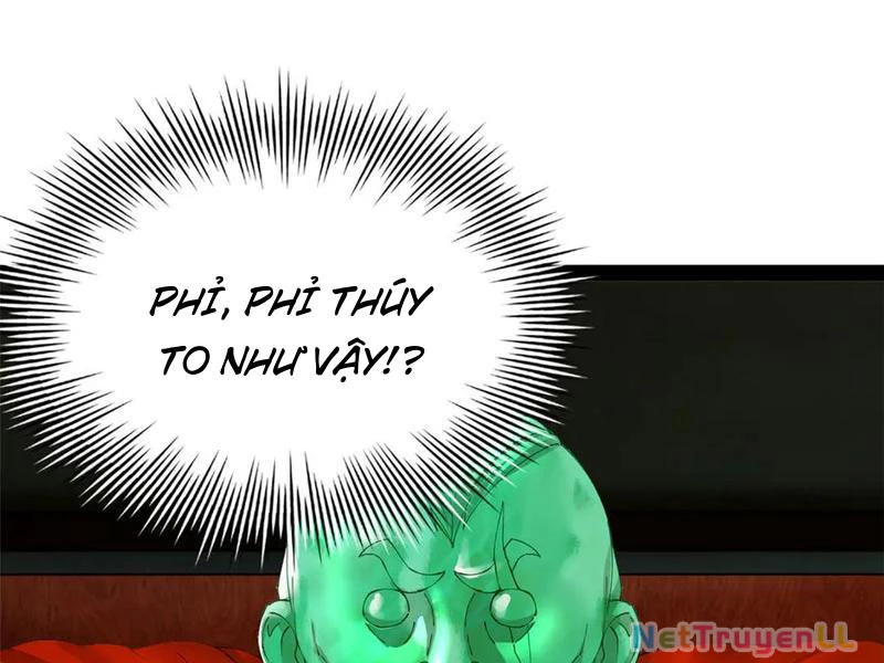 Chàng Rể Mạnh Nhất Lịch Sử Chapter 210 - Trang 2