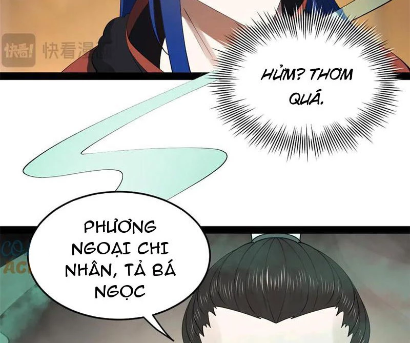 Chàng Rể Mạnh Nhất Lịch Sử Chapter 211 - Trang 2