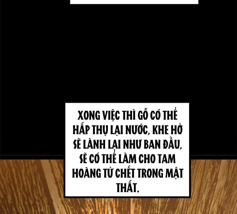 Chàng Rể Mạnh Nhất Lịch Sử Chapter 213 - Trang 2