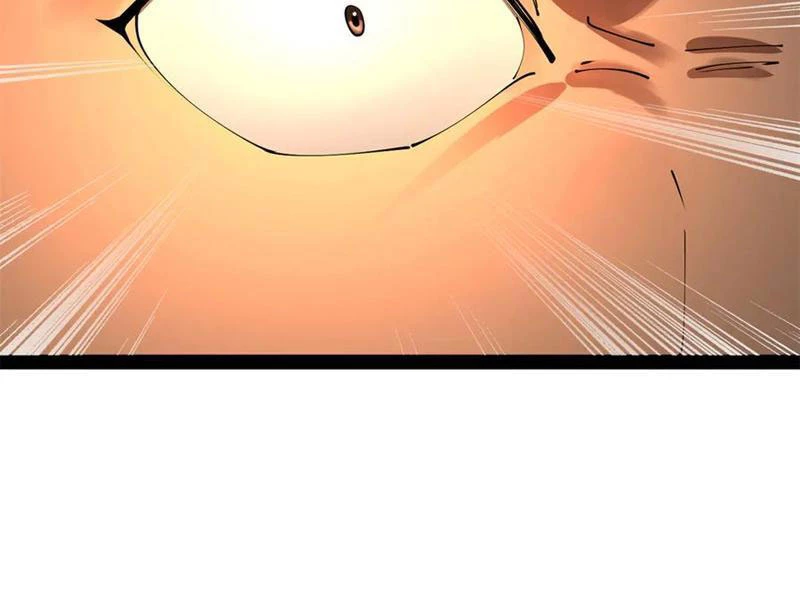 Chàng Rể Mạnh Nhất Lịch Sử Chapter 215 - Trang 2