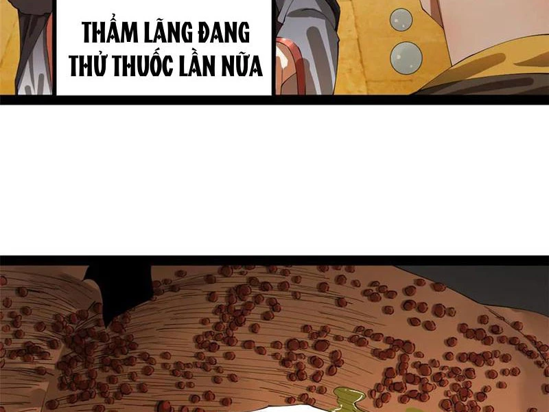 Chàng Rể Mạnh Nhất Lịch Sử Chapter 216 - Trang 2