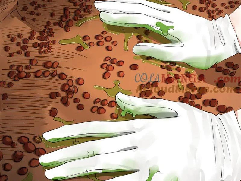 Chàng Rể Mạnh Nhất Lịch Sử Chapter 216 - Trang 2