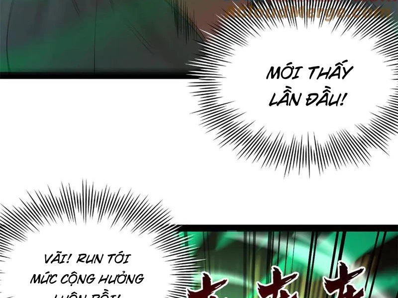 Chàng Rể Mạnh Nhất Lịch Sử Chapter 217 - Trang 2