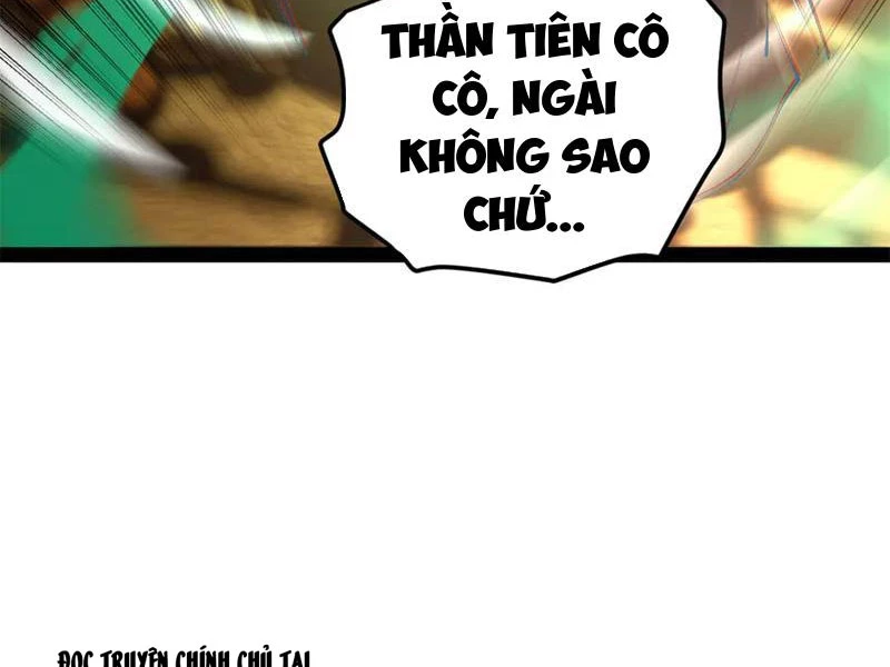 Chàng Rể Mạnh Nhất Lịch Sử Chapter 217 - Trang 2