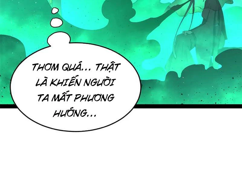 Chàng Rể Mạnh Nhất Lịch Sử Chapter 217 - Trang 2