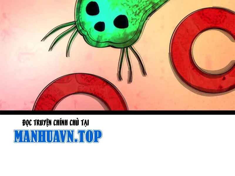 Chàng Rể Mạnh Nhất Lịch Sử Chapter 221 - Trang 2