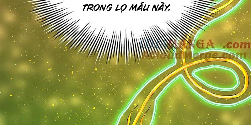 Chàng Rể Mạnh Nhất Lịch Sử Chapter 225 - Trang 2