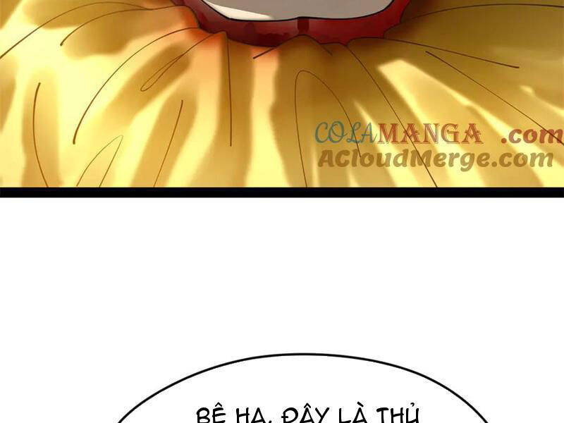 Chàng Rể Mạnh Nhất Lịch Sử Chapter 231 - Trang 2