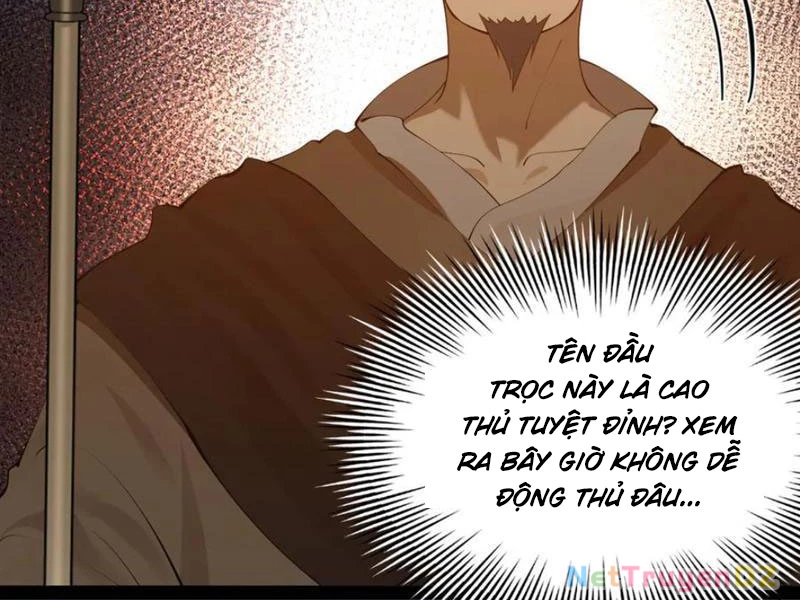 Chàng Rể Mạnh Nhất Lịch Sử Chapter 255 - Trang 2