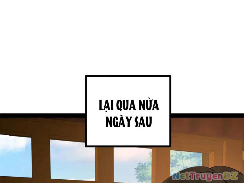 Chàng Rể Mạnh Nhất Lịch Sử Chapter 255 - Trang 2