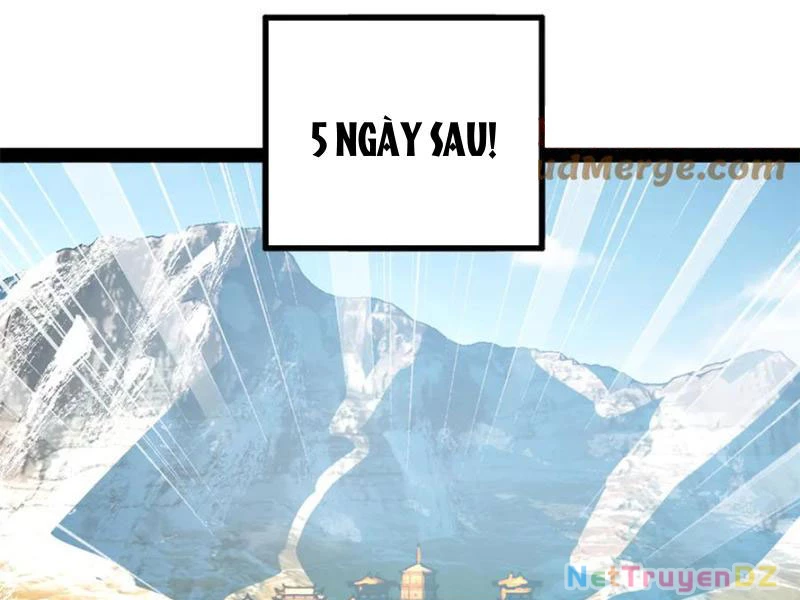 Chàng Rể Mạnh Nhất Lịch Sử Chapter 255 - Trang 2