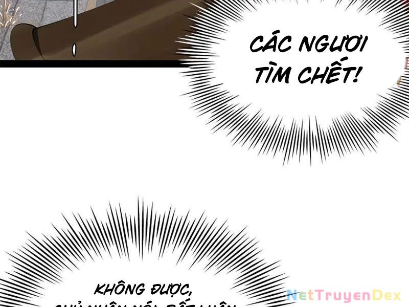 Chàng Rể Mạnh Nhất Lịch Sử Chapter 257 - Trang 2