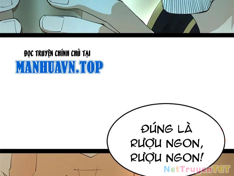 Chàng Rể Mạnh Nhất Lịch Sử Chapter 265 - Trang 2