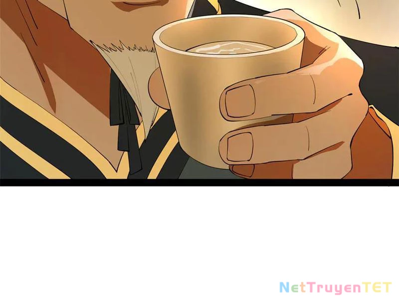 Chàng Rể Mạnh Nhất Lịch Sử Chapter 265 - Trang 2