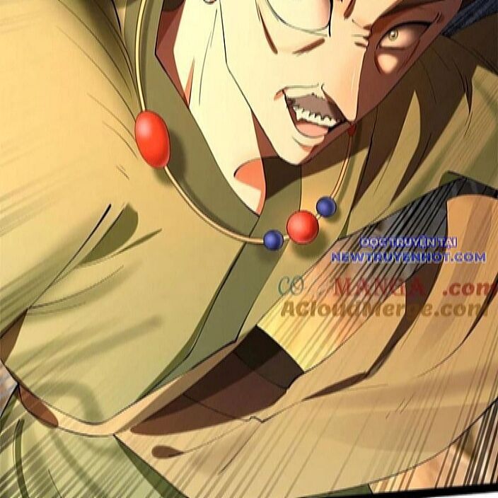 Chàng Rể Mạnh Nhất Lịch Sử Chapter 271 - Trang 2